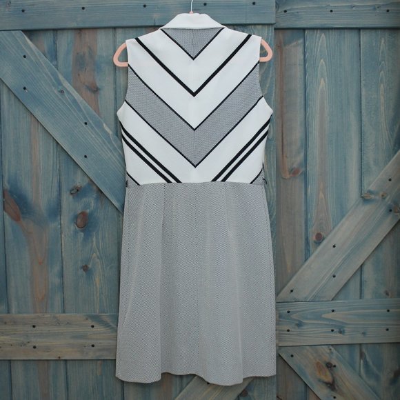 Black and White Sleeveless Dress - Picture 4 of 6